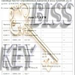 biss ключи